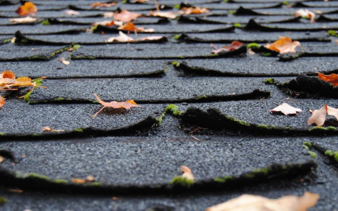 signs it’s time for a roof replacement